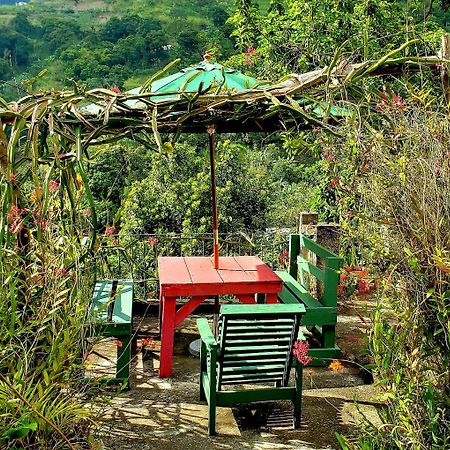 Prince Valley Guesthouse Irish Town المظهر الخارجي الصورة