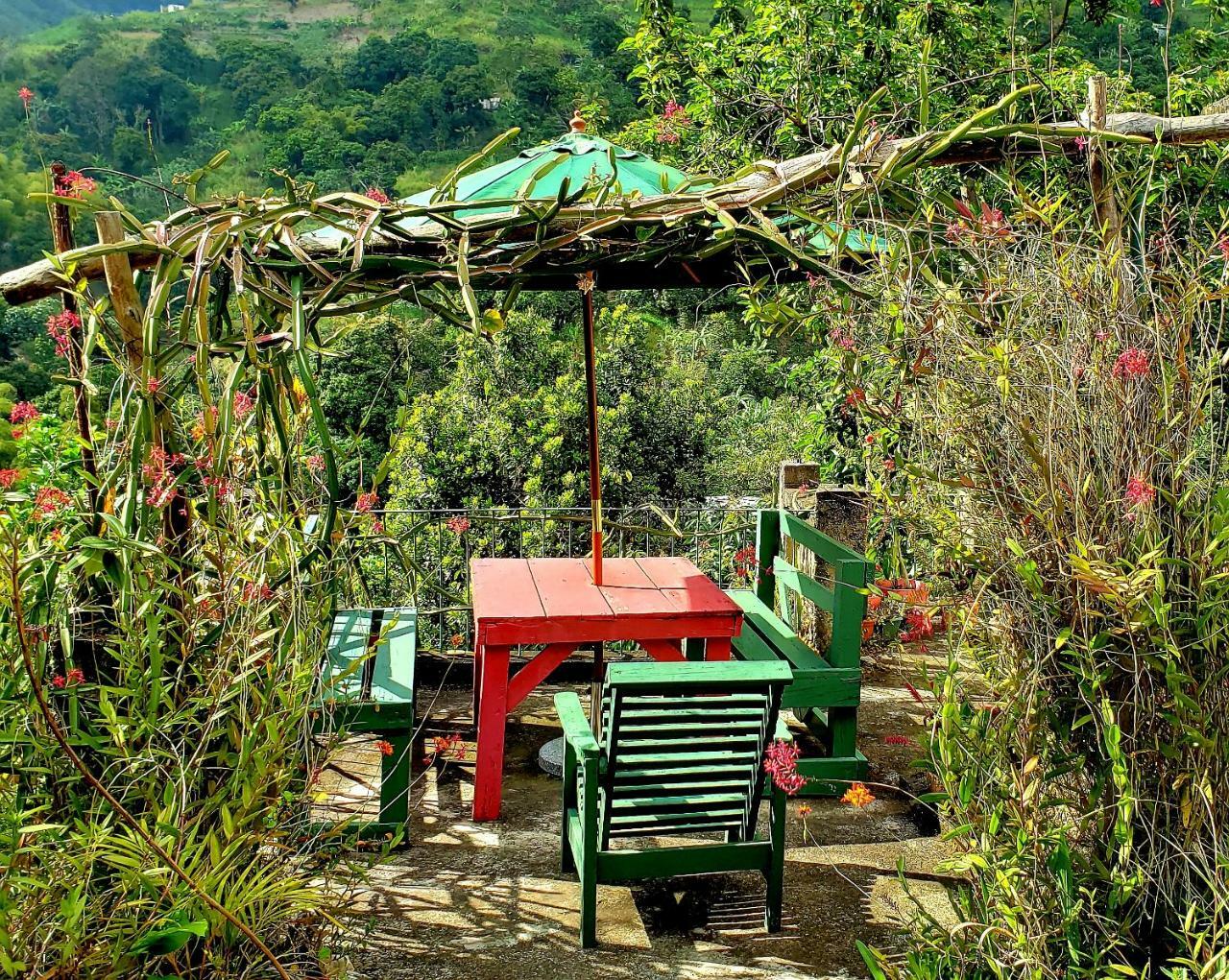 Prince Valley Guesthouse Irish Town المظهر الخارجي الصورة