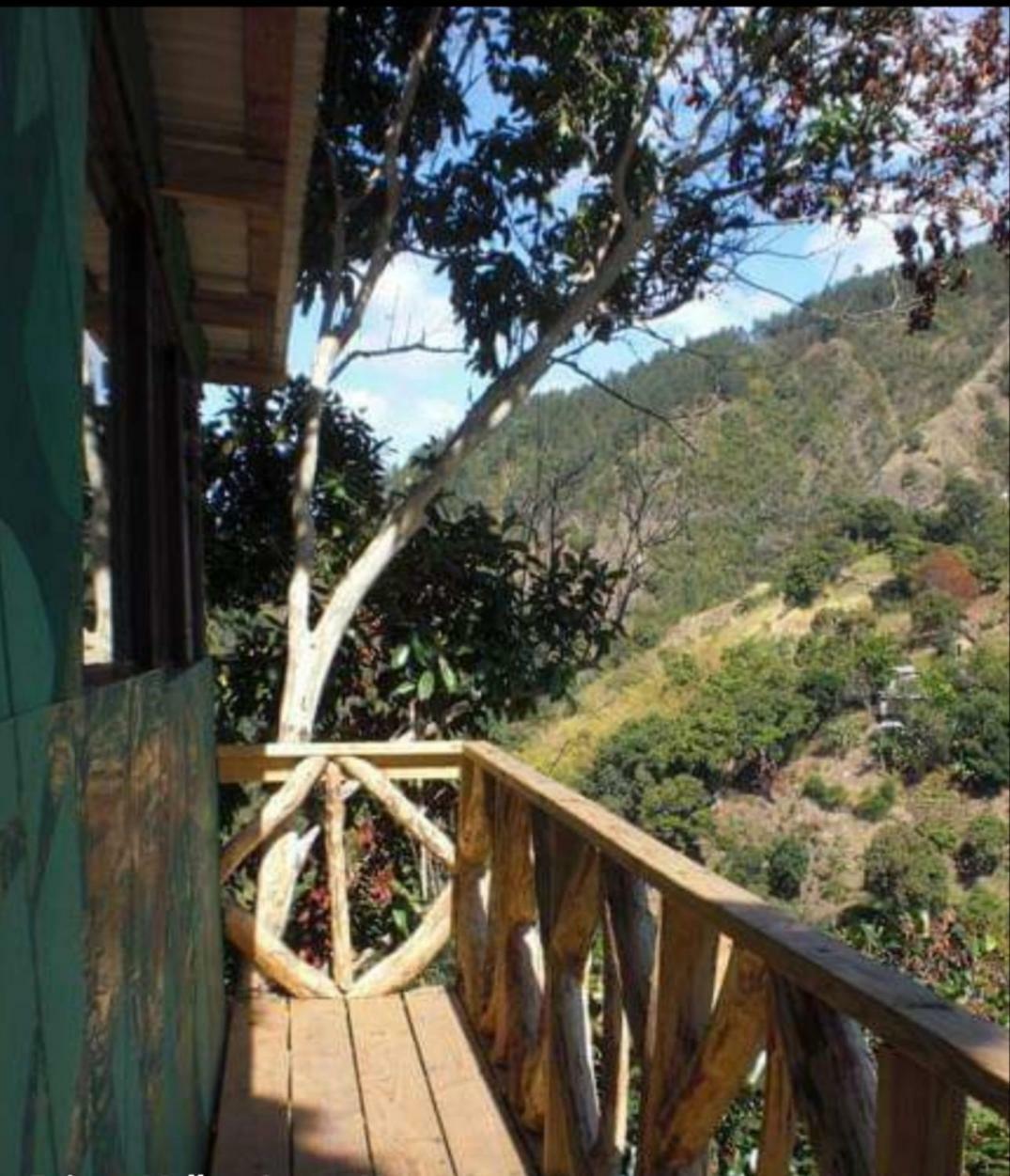 Prince Valley Guesthouse Irish Town المظهر الخارجي الصورة