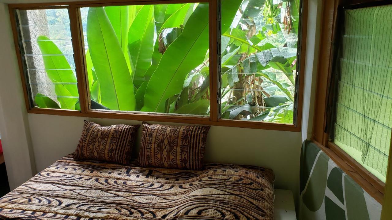 Prince Valley Guesthouse Irish Town المظهر الخارجي الصورة